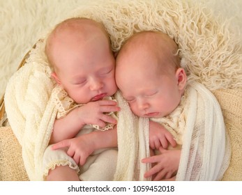 Adorable junge eineiige Zwillingsmädchen, die in einem weichen Korb schlafen