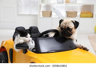 Adorable Pug Dog And Cat In Toy Car Indoors