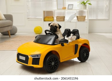 Adorable Pug Dog And Cat In Toy Car Indoors