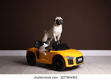 Adorable Pug Dog And Cat In Toy Car Near Brown Wall Indoors