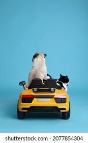 Adorable Pug Dog And Cat In Toy Car On Light Blue Background, Back View