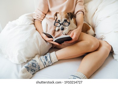 Adorable Reading Time In Bed. Woman In Pink Hoodie Holding Book And Dog On Her Laps In Glasses Reading. Warm Wool Soks. Long Sexy Slim Legs. Weekend Relaxed Atmosphere. Enjoying Chill With Cute Pet 