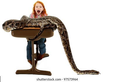 Adorable Scared Elementary Student Screaming As An Escaped Python Slithers Across Her Desk During A School Show And Tell Escape.