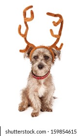 rudolph ears for dogs