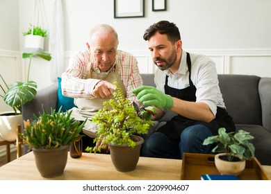 Adorable son gardening and watering plants with his old elderly father at home while spending happy time together - Powered by Shutterstock