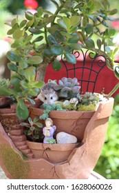 Adorable Succulent Container Garden Containing A Large Jade Plant, Sedum And Other Various Flesh Engorged Plants Including Two Miniature Fairy Statues And A Live Visiting Gerbal.