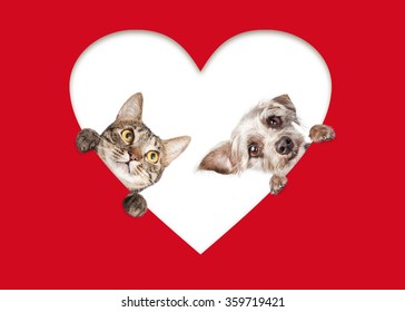 Adorable Tabby Cat And Mixed Terrier Breed Dog Peeking Out Of A Heart Cutout Of Red Paper