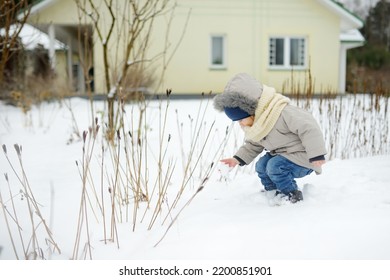 Adorable Toddler Boy Having Fun In A Backyard On Snowy Winter Day. Cute Child Wearing Warm Clothes Playing In A Snow. Winter Activities For Family With Kids.