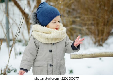 Adorable Toddler Boy Having Fun In A Backyard On Snowy Winter Day. Cute Child Wearing Warm Clothes Playing In A Snow. Winter Activities For Family With Kids.