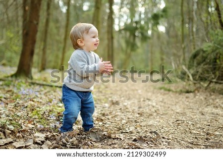 Adorable toddler boy having fun during a hike in the woods on beautiful sunny spring day. Active family leisure with kids. Child exploring nature.