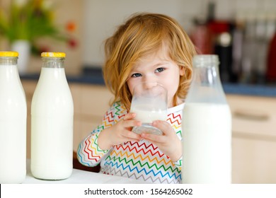 Adorable Toddler Girl Drinking Cow Milk For Breakfast. Cute Baby Daughter With Lots Of Bottles. Healthy Child Having Milk As Health Calcium Source. Kid At Home Or Nursery In The Morning.