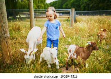 Adorable Toddler Girl Playing With Goats At Farm. Child Familiarizing Herself With Animals. Farming And Gardening For Small Children. Outdoor Summer Activities For Kids