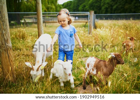 Adorable toddler girl playing with goats at farm. Child familiarizing herself with animals. Farming and gardening for small children. Outdoor summer activities for kids