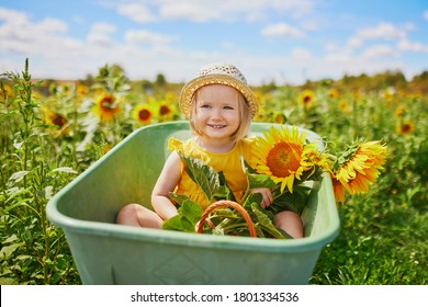 Adorable toddler girl in straw hat sitting in wheelbarrow near sunflower field at farm. Farming and gardening for small children. Outdoor summer activities for little kids - Powered by Shutterstock