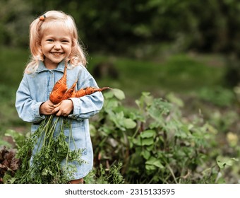 Adorable toddler smiling blonde girl holding carrots in domestic garden. Healthy organic vegetables for kids. Garden, vegetable, gardening. Picked Fresh Vegetables Just From The Garden - Powered by Shutterstock