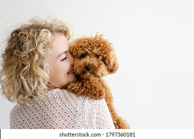 Adorable Spielzeug Poodle Welpe in den Armen seines liebenden Eigentümers. Kleine süße Hündin mit lustigem, lockigen Fell mit erwachsenen Frauen. Nahaufnahme, Kopienraum.