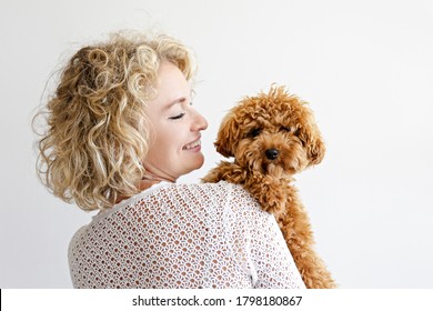 Adorable toy poodle puppy in arms of its loving owner. Small adorable doggy with funny curly fur with adult woman. Close up, copy space.