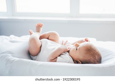 Adorable Two Month Old Baby Lying On Cocoon. 