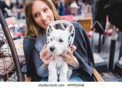 Adorable Westie Puppy Listening To Music With It's Owner In Cafeteria.