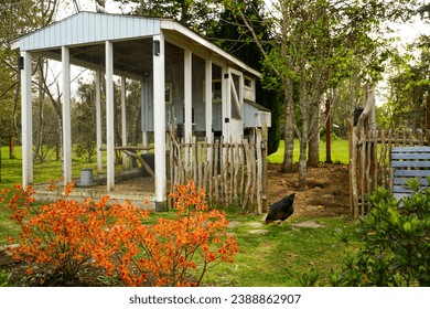 Adorable wooden hen house in the garden during Autumn days