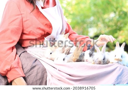 Adorable young rabbit and woman sit together outdoor. Owner care little cute bunny on her laps. Woman wear longsleeves pink redish shirt.