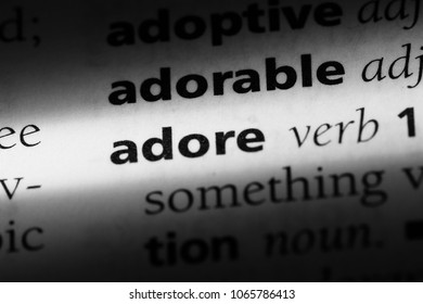 Adore Word Dictionary Adore Concept Stock Photo 1065786413  Shutterstock