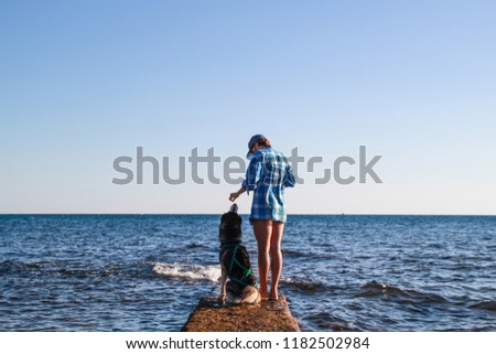 Adriatic sea view.Husky play on sea stones beach. Girl play with dog and him food. Treveling with dog.Croatia.