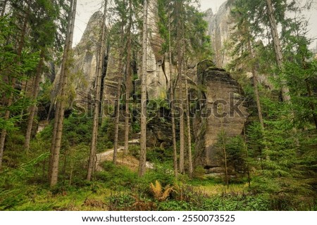 Similar – Image, Stock Photo In the Adersbach-Weckelsdorf Rock Town