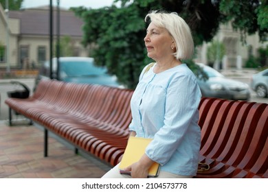 Adult 50 Years Old Teacher Woman On A Wooden Bench In A Park Holding Books