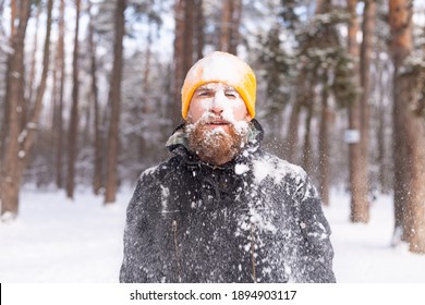 An Adult Brutal Man With A Beard In A Winter Forest All Face In The Snow, Frozen, Unhappy With The Cold