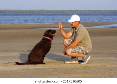 adult Caucasian man trains his chocolate Labrador dog, plays and has a great time by the lake. - Powered by Shutterstock