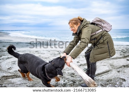Adult cheerful happy hostess woman in warm clothes plays with a big dry curve stick with her big faithful funny dog of the Rottweiler breed, in cold cloudy weather on a sandy sea wild beach
