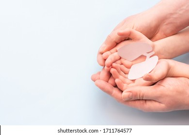 Adult And Child Hands Holding Lung, World Tuberculosis Day, Lung Cancer Coronavirus, Covid-19 Virus, Pandemic, World No Tobacco Day, Pneumonia, Eco Air Pollution,organ Donation Concept.