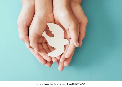 Adult and child hands holding white dove bird on blue background, international day of peace or world peace day concept, sustainable consumption, csr responsible business, animal rights, hope concept - Shutterstock ID 1568895940