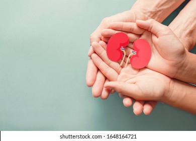 Adult and child holding kidney shaped paper on textured blue background, world kidney day, National Organ Donor Day, charity donation concept