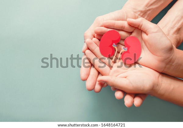 Adult and child holding kidney shaped paper on\
textured blue background, world kidney day, National Organ Donor\
Day, charity donation\
concept