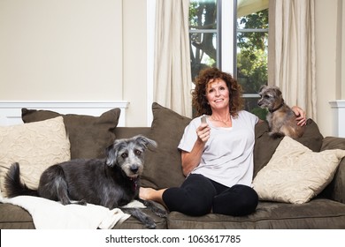 House Sitter Images, Stock Photos &amp; Vectors | Shutterstock