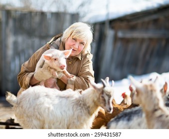 Adult Female Farmer Holding A Small Pig.Focus On A Pig