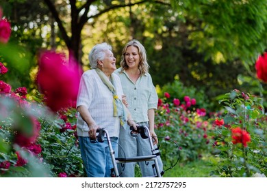 Adult granddaguhter supporting her senior grandmother when taking her for walk with walker in park in summer. - Shutterstock ID 2172757295