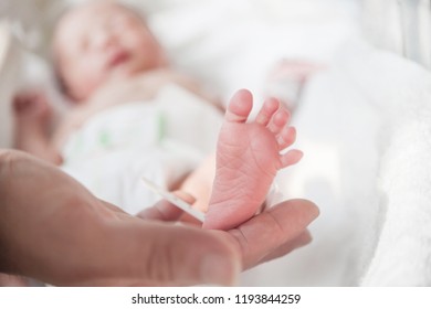 Adult Hand Holding Newborn Baby Feet