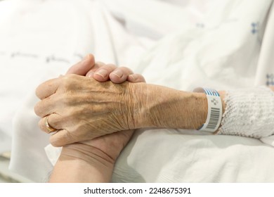 Adult helping. Senior woman holds the hand of a relative in the hospital. Woman in hospital bed holding nurse's hand. Senior woman, aged wrinkled skin and caregiver's hands. copy space, close up - Powered by Shutterstock