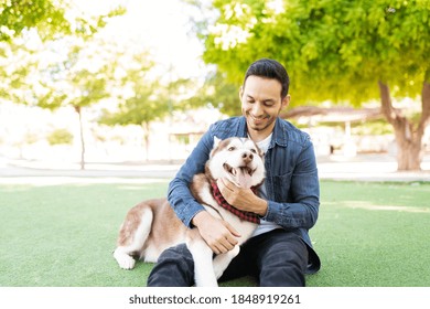 Adult Latin Man In His 30s With A Big Brown Dog In His Lap Is Resting In The Park's Grass