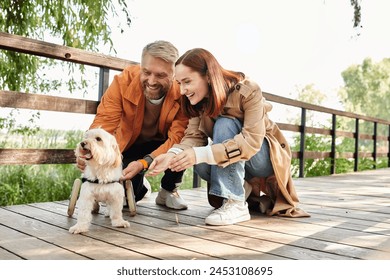 An adult loving couple in casual attire pet a small dog while taking a walk in the park. - Powered by Shutterstock