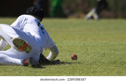 an adult male cricketer who is a fielder lying on the grass as he slipped while attempting to field and stop the leather cricket ball. Fielding the cricket ball during a cricket match in South Africa - Powered by Shutterstock