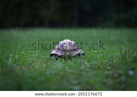 Similar – Foto Bild Aufbruchsstimmung Sommer