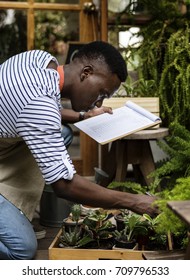 Adult Man Checking Plants Outside Flower Shop