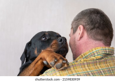 An Adult Man Cuddles With A Black Dog Against A Beige Background. Man With Short Haircut And Graying Hair. A Female Rottweiler Dog Puts Her Paw On His Shoulder.  Rear View. Indoors. Selective Focus.