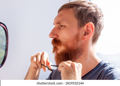 Adult Man Cutting His Own Beard And Mustache With Scissors And Comb. Caucasian Red Bearded Male Trimming Hair On Face At Home. Do It Yourself Self-made Haircut.Selfcare DIY During Quarantine Isolation