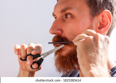 Adult Man Cutting His Own Beard And Mustache With Scissors And Comb. Caucasian Red Bearded Male Trimming Hair On Face At Home. Do It Yourself Self-made Haircut.Selfcare DIY During Quarantine Isolation