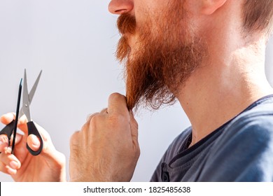 Adult Man Cutting His Own Beard And Mustache With Scissors And Comb. Caucasian Red Bearded Male Trimming Hair On Face At Home. Do It Yourself Self-made Haircut.Selfcare DIY During Quarantine Isolation